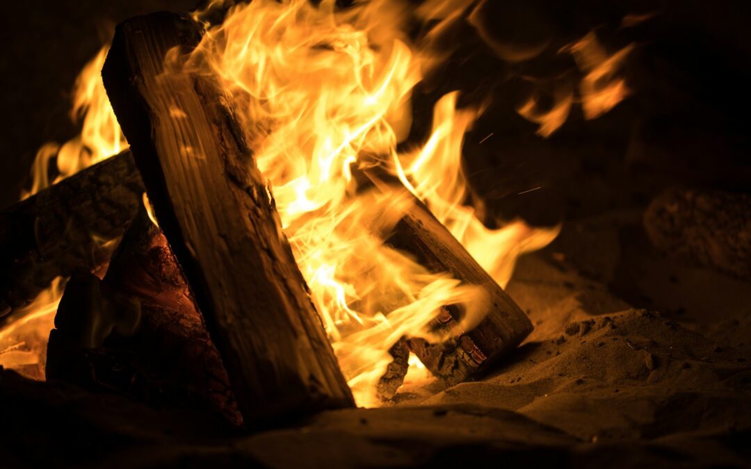 The Bad Effect of Capitalism on Librarianship Education in Business Schools